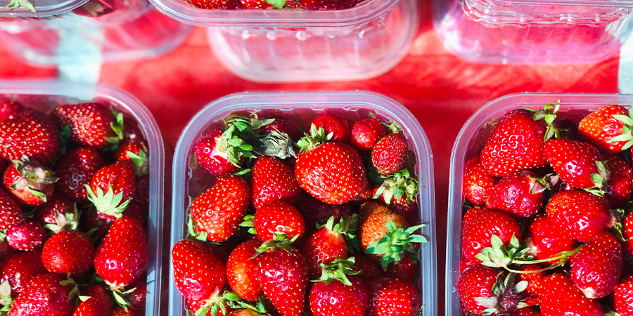 Many boxes of fresh strawberries