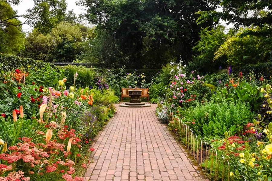 Wild garden with brick path