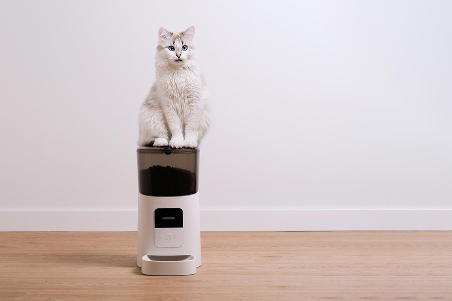 A cat sitting on a pet food dispenser