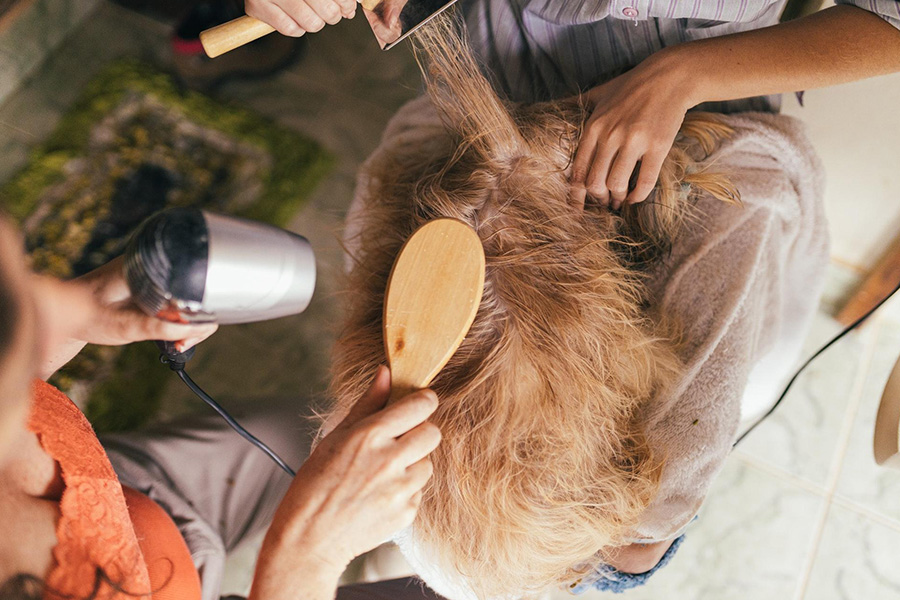 A dog getting groomed by two women