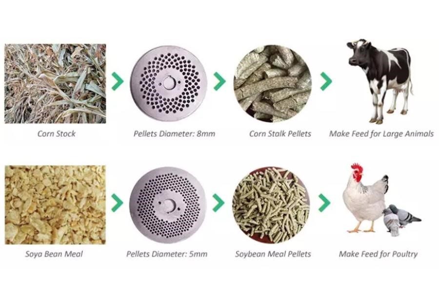 Flat die sizes for different animal type pellets