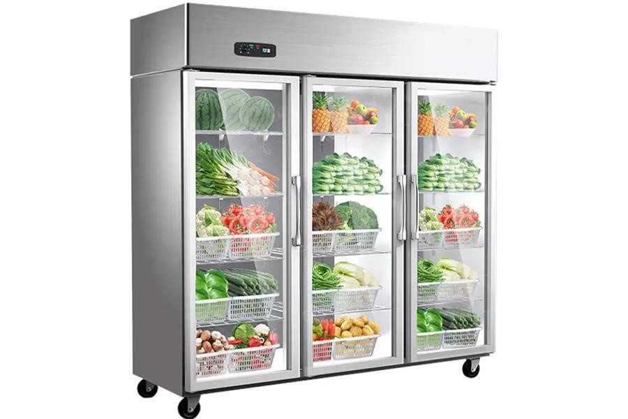 Commercial vertical refrigerator equipment