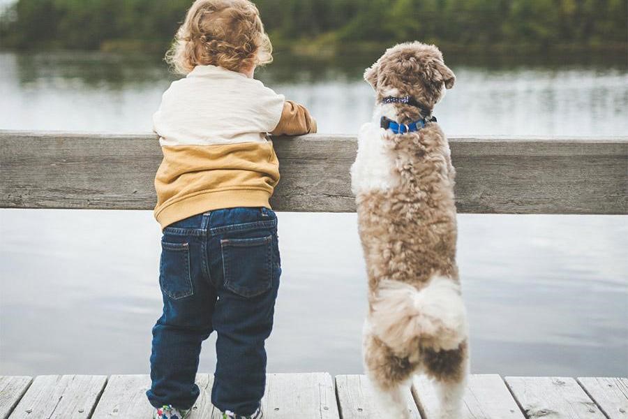 Niño en jeans junto a un río con un perro