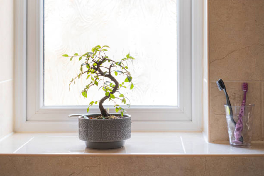 planta bonsai artificial em miniatura em um vaso ornamentado cinza