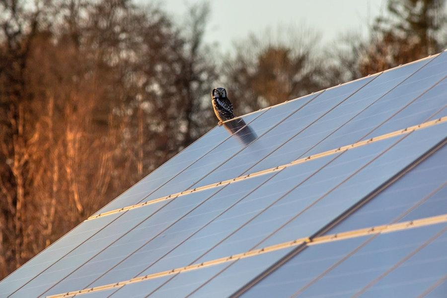 Solar panels installed on a roof