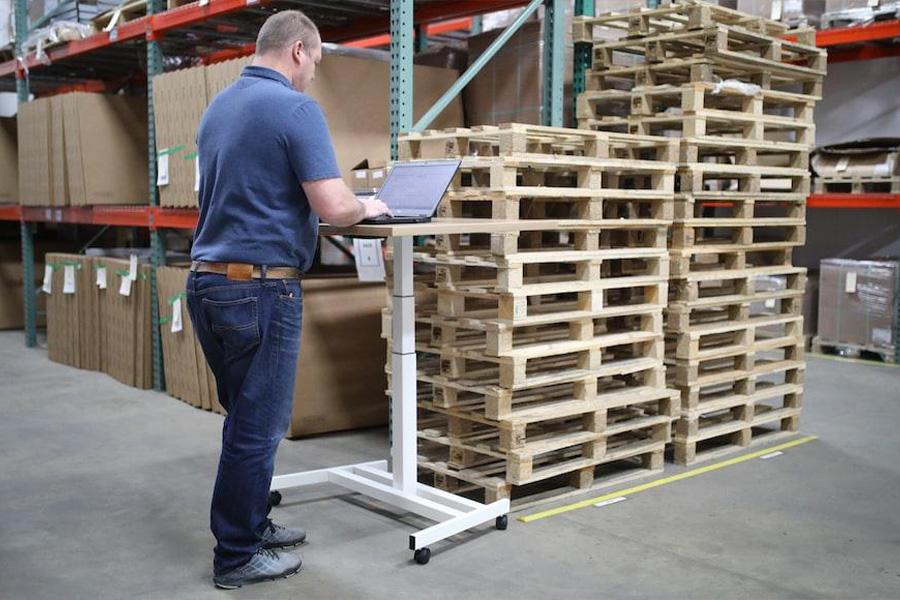 Warehouse staff using an online WMS