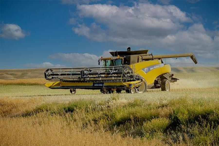 Colheitadeira em um campo aberto