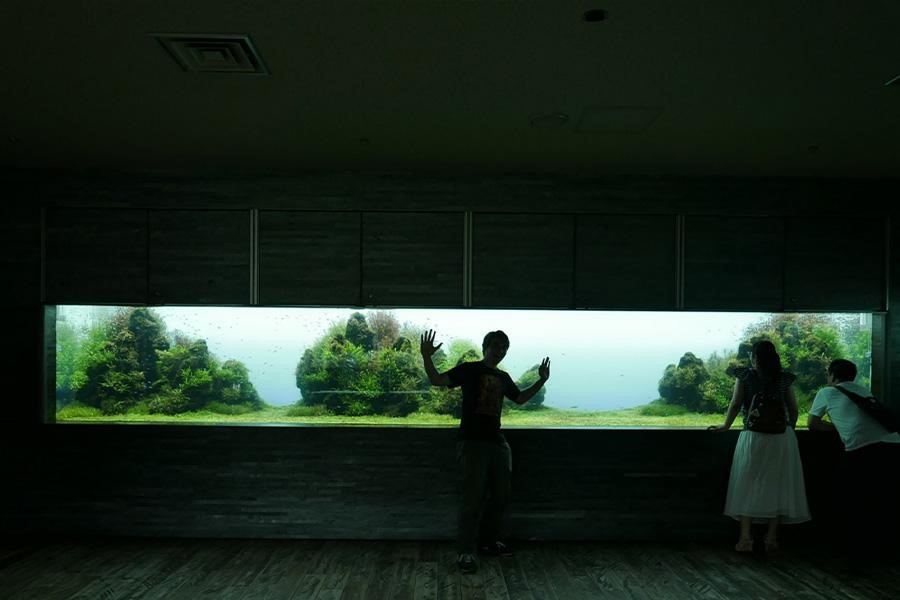 People in front of a large fish tank